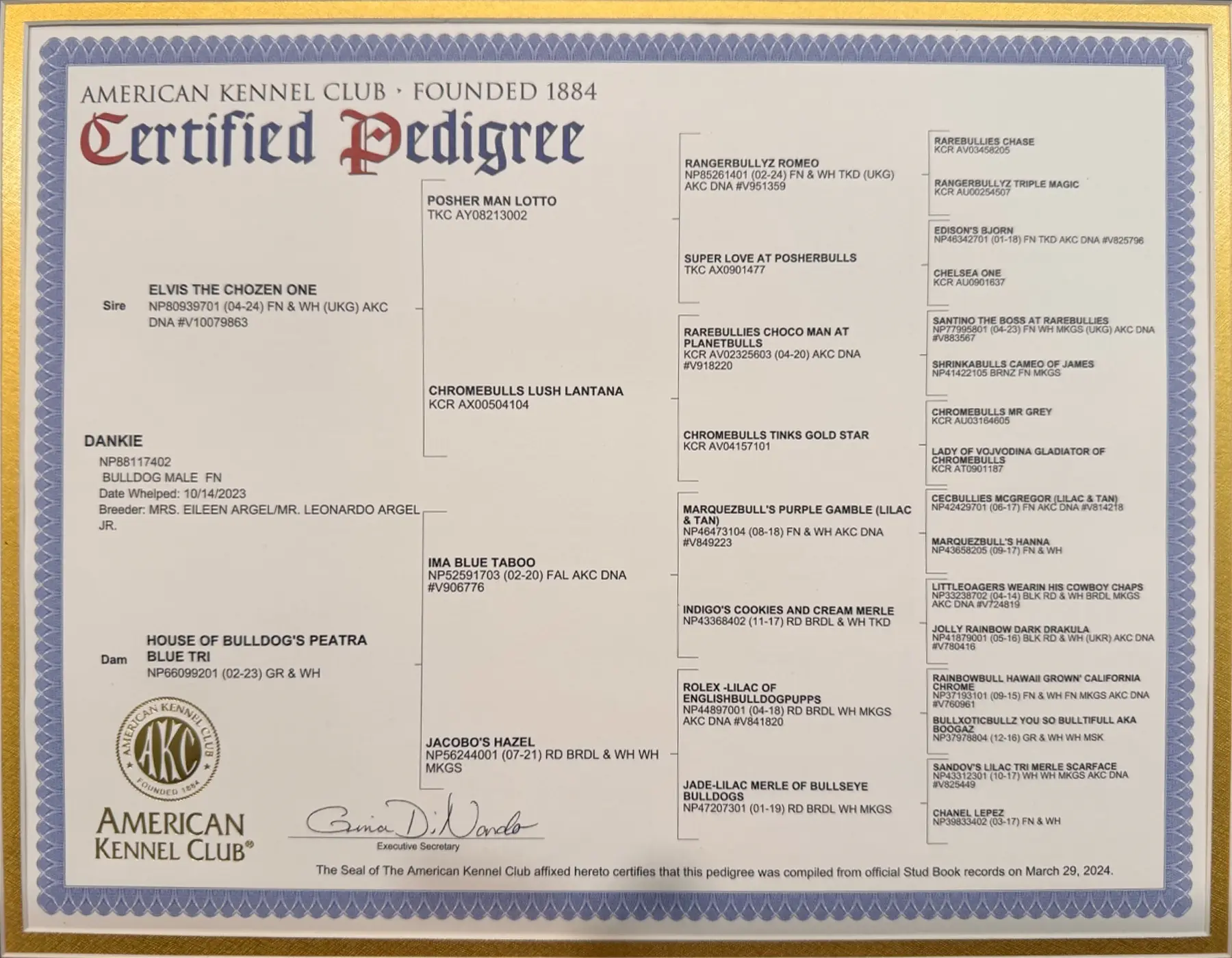 Full view of Dankie’s AKC Certified Pedigree naming Elvis The Chozen One as sire